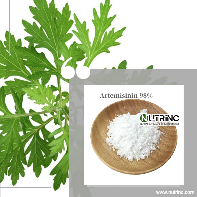 Artemisia Annua Extract Artemisinin 98%