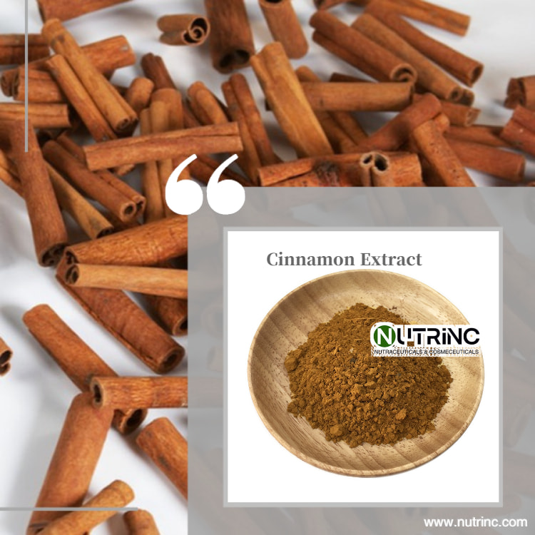 Cinnamon Extract Cinnamic Acid Polyphenol 4%