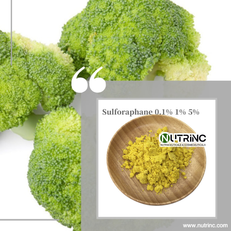 Broccoli Extract Sulforaphane 0.1% 1% 5%