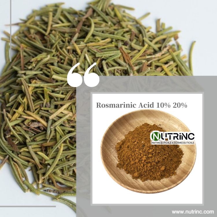 Rosemary Extract Carnosic Acid 5% 10% 90% 