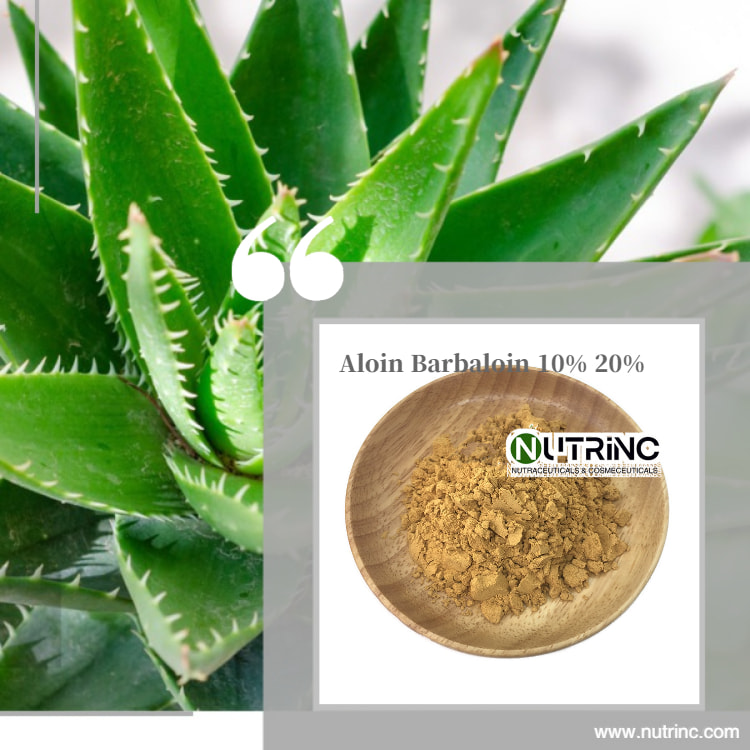 Freeze Dried Aloe Vera Powder 100:1