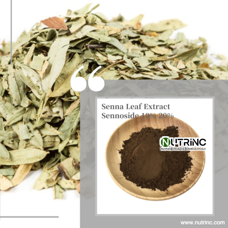 Senna Leaf Extract Sennoside 10% 20%