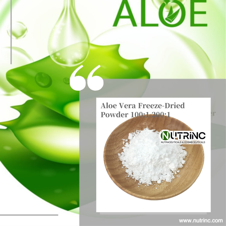 Aloe Vera Freeze-Dried Powder 100:1 200:1