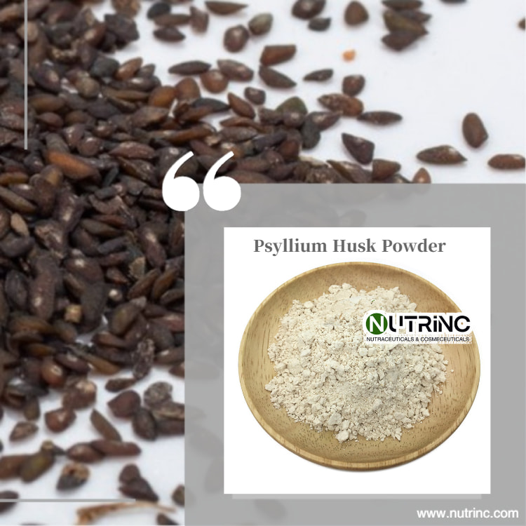 Psyllium Husk Powder