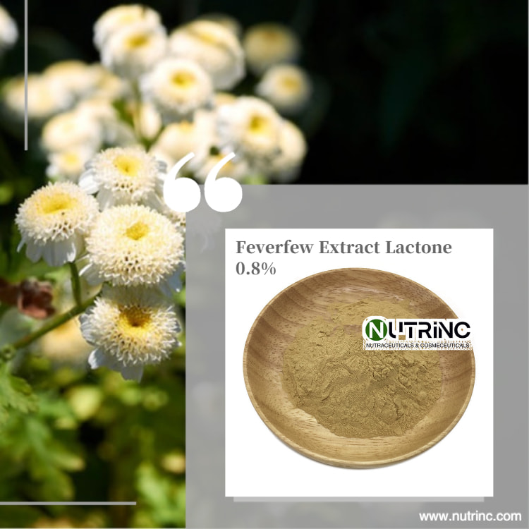 Feverfew Extract Lactone 0.8%