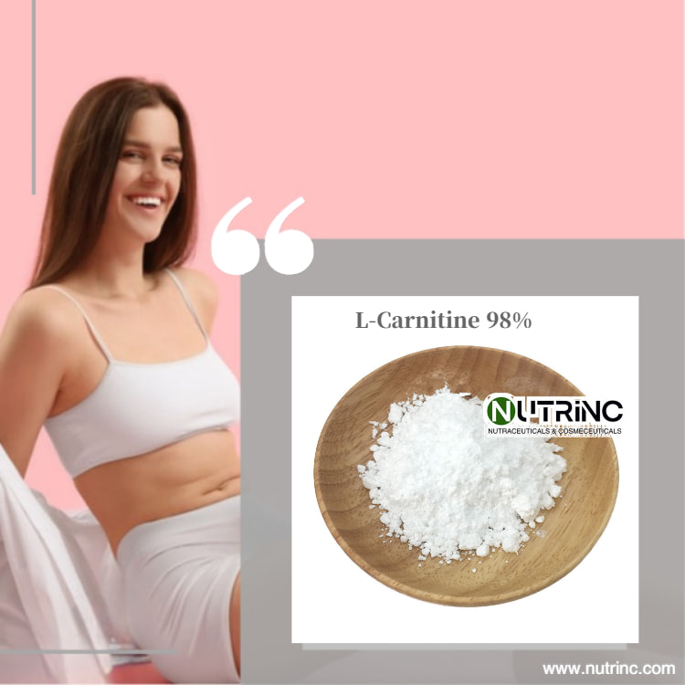 L-Carnitine 98%