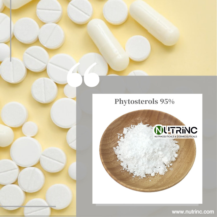 Phytosterols 95% 
