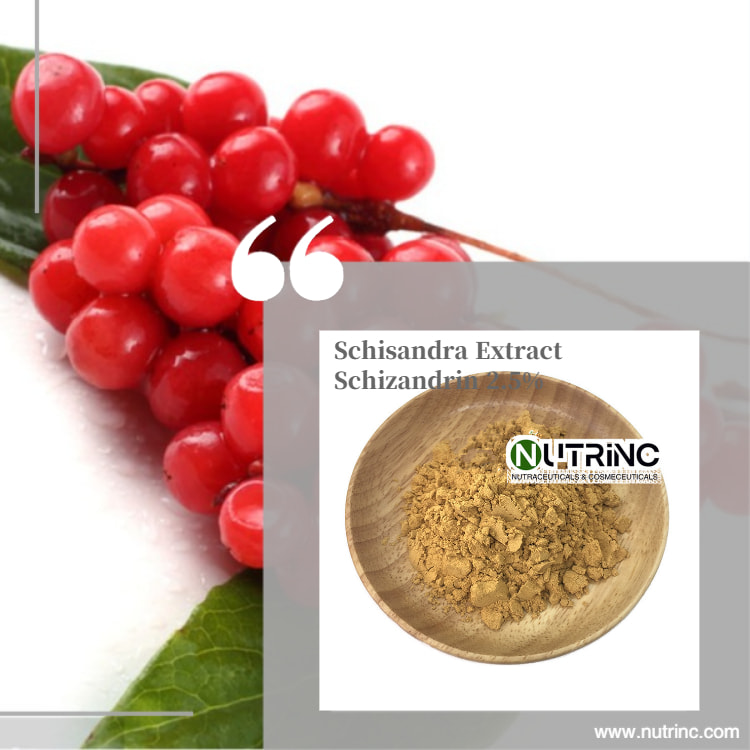 Schisandra Extract Schizandrin 2.5%