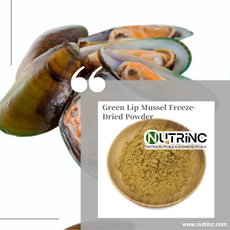 Green Lip Mussel Freeze-Dried Powder