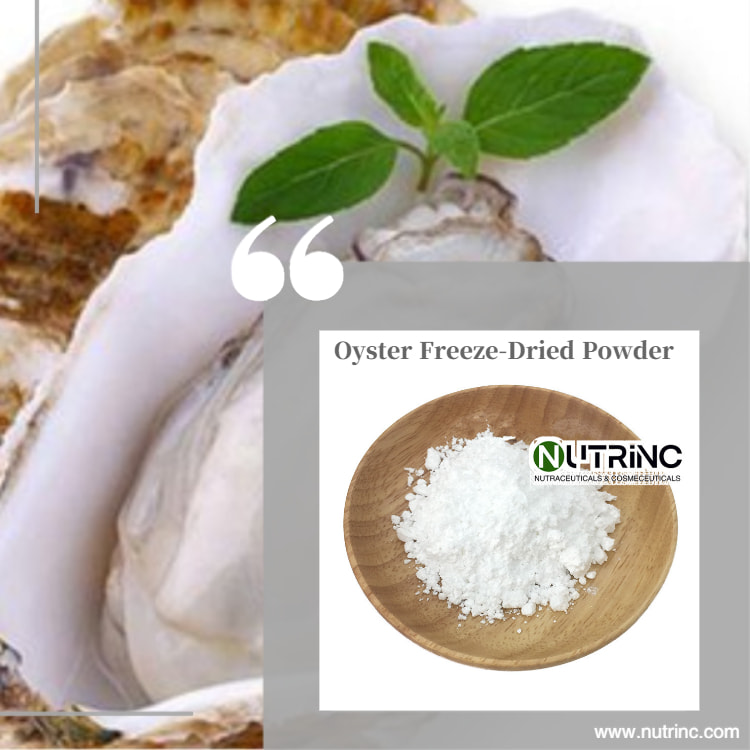 Oyster Freeze-Dried Powder