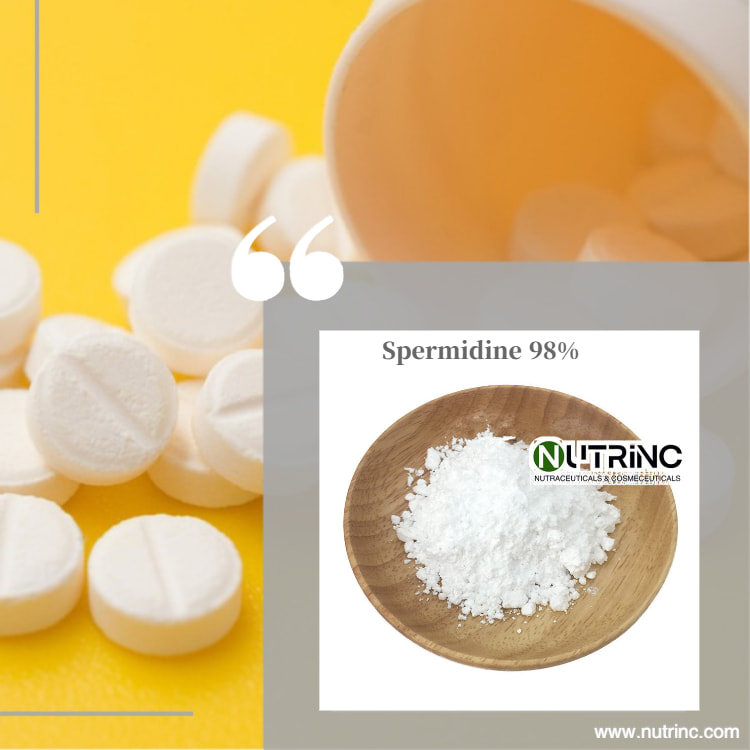 Spermidine 98%