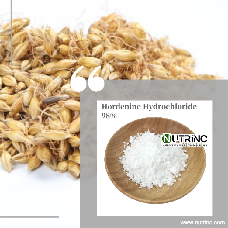 Hordenine Hydrochloride 98%