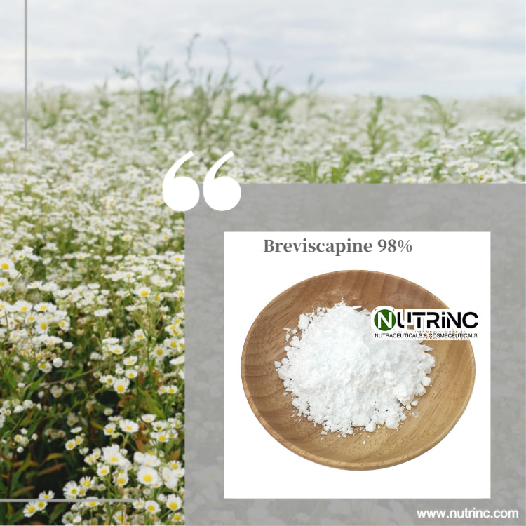 Breviscapine 98%