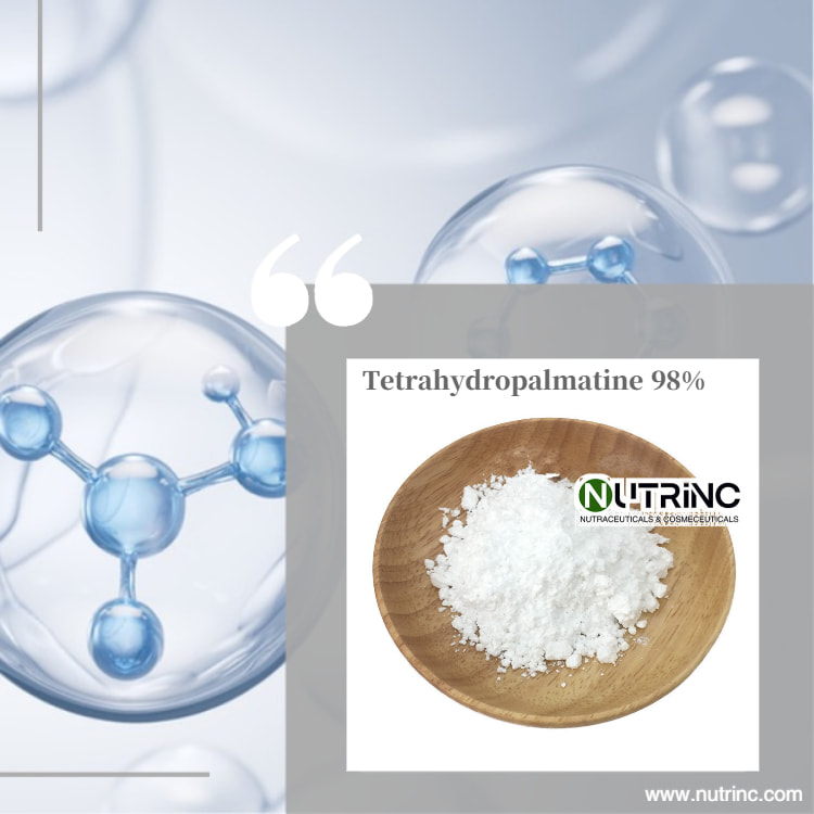 Tetrahydropalmatine 98%