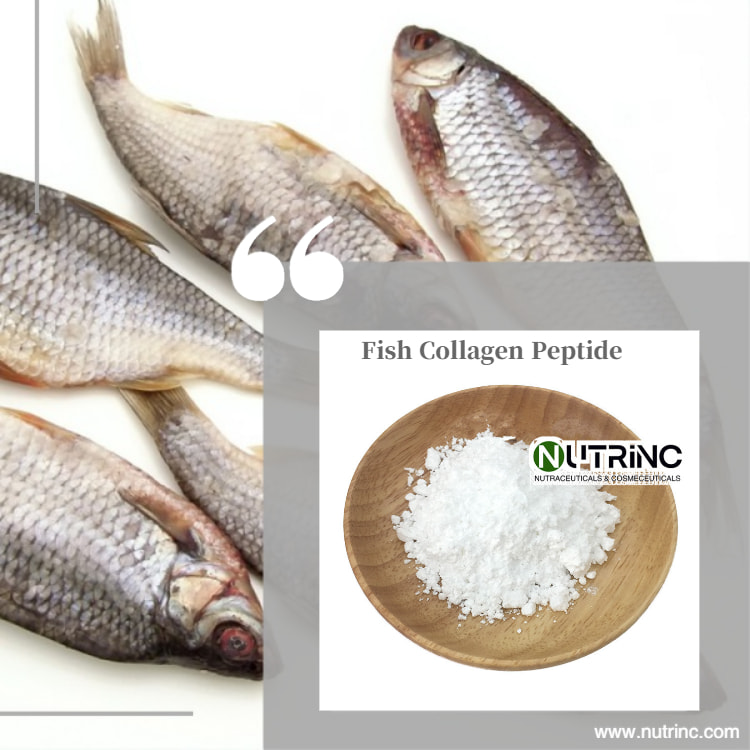 Marine Collagen Peptide