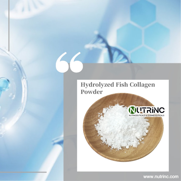 Hydrolyzed Fish Collagen Powder