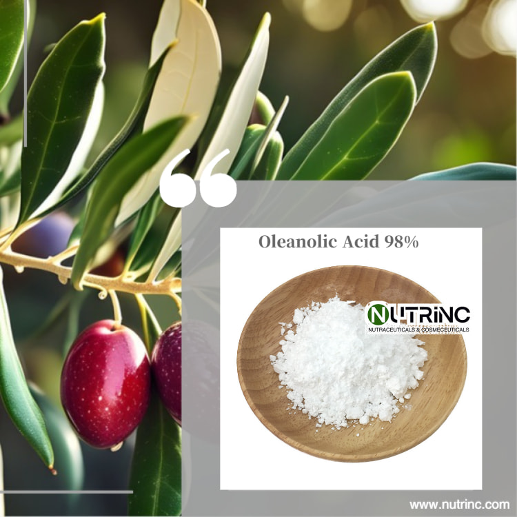 Oleanolic Acid 98%