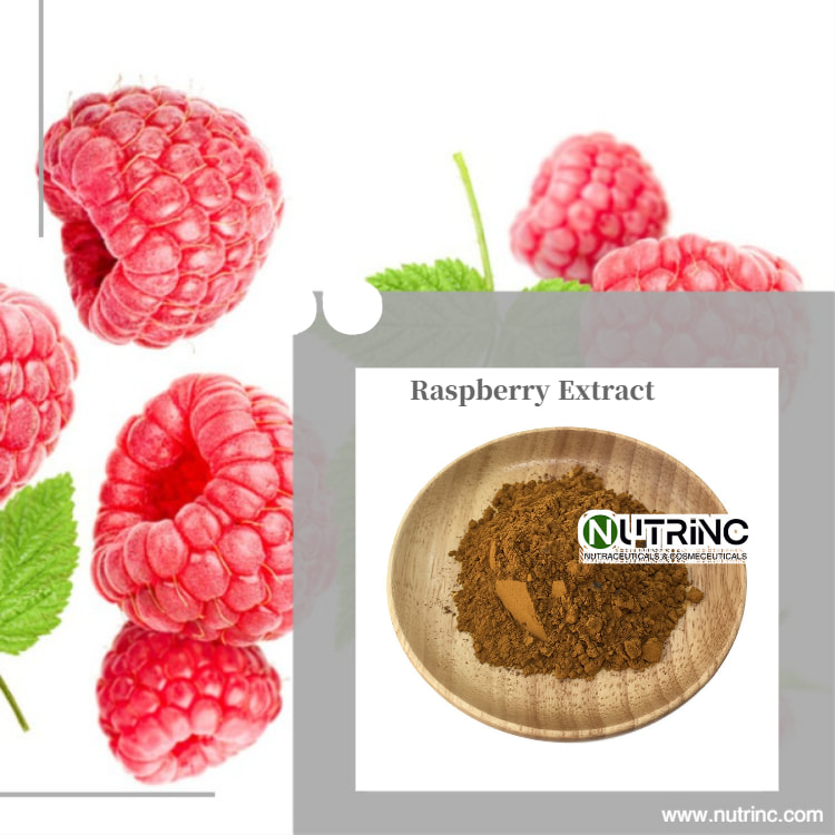 Raspberry Extract 