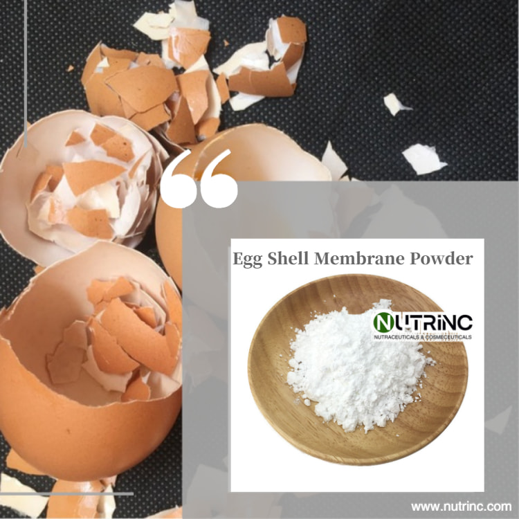Egg Shell Membrane Powder