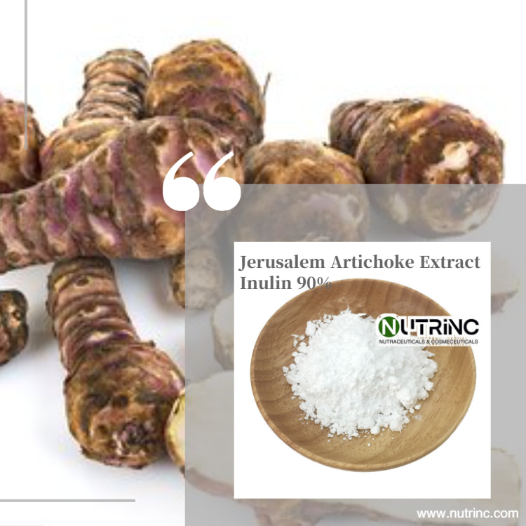 Jerusalem Artichoke Extract Inulin 90%