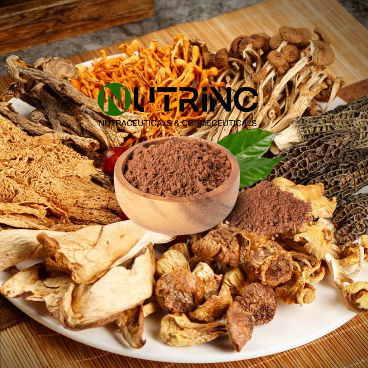 Reishi Mushroom Extract Polysaccharide 30%