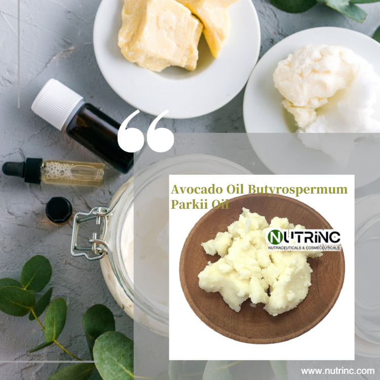 Avocado Oil ,Butyrospermum Parkii Oil