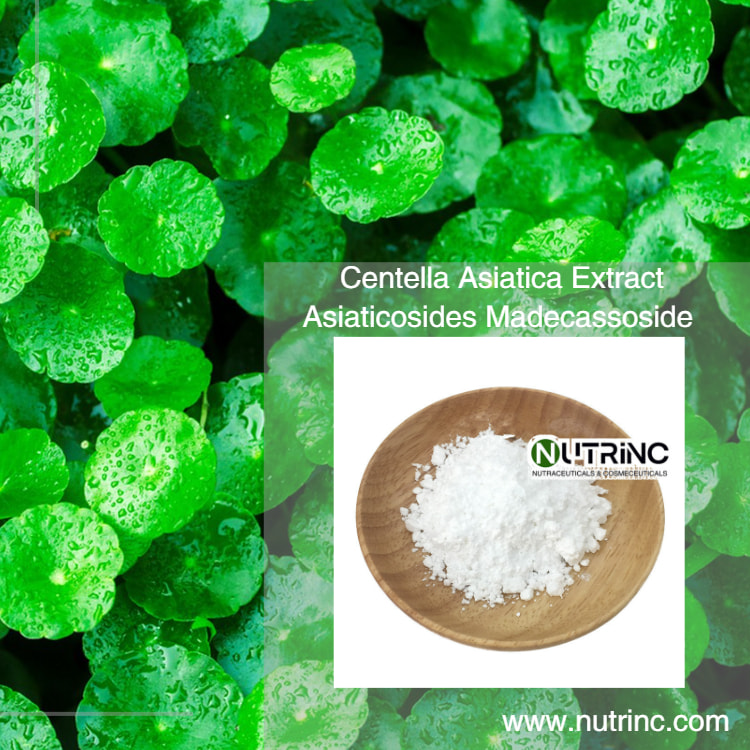 Centella Asiatica Extract Asiaticosides 10% 70%  Madecassoside 80% 90%