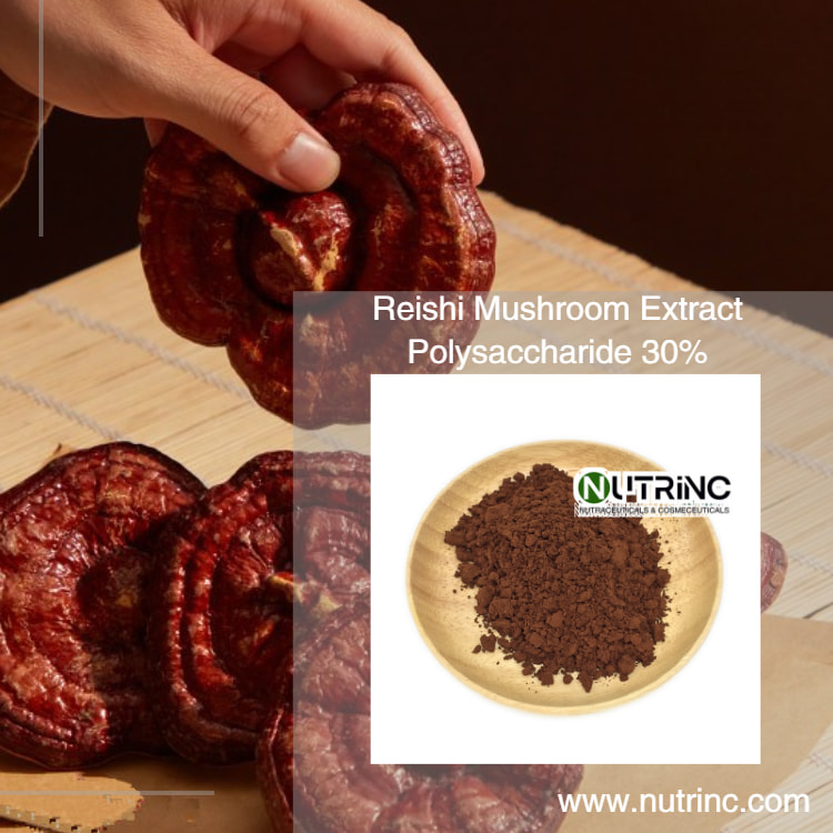Reishi Mushroom Extract Polysaccharide 30%
