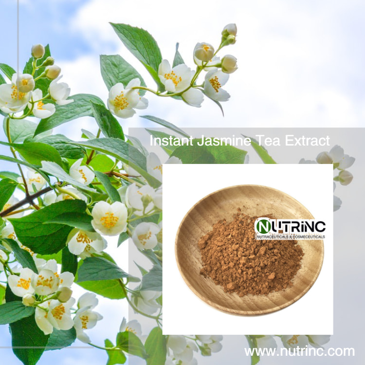 Instant Tea Powder