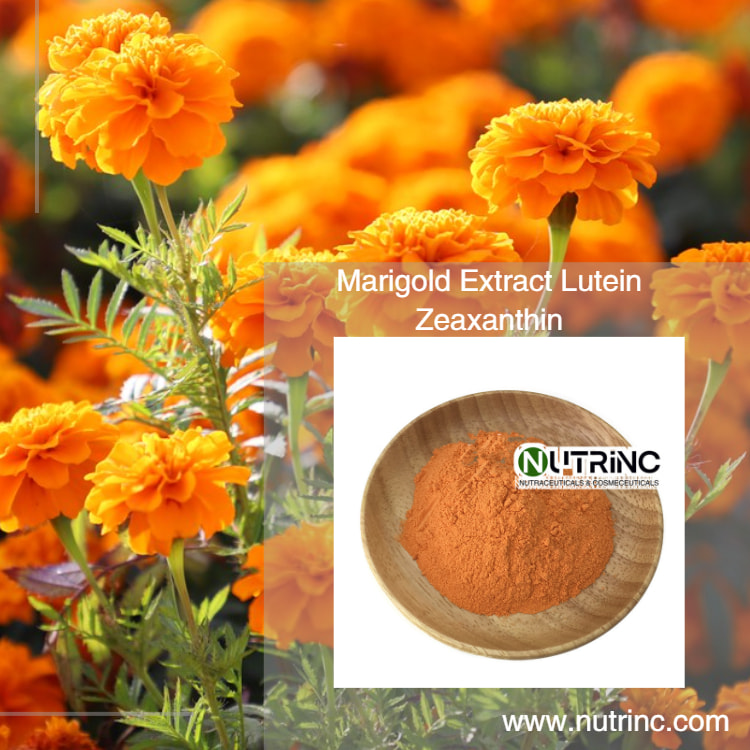 Marigold Extract Lutein 5% 10%