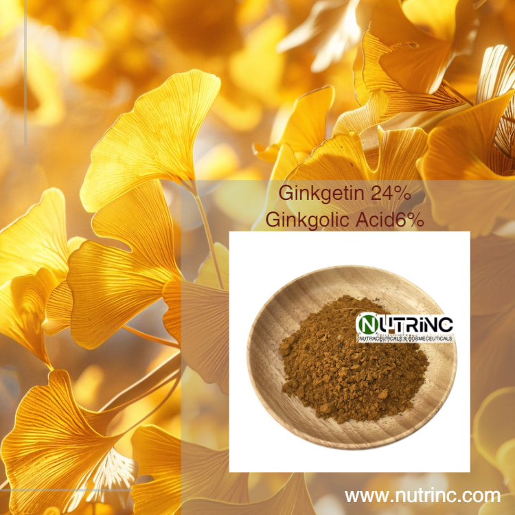 Ginkgo Biloba Extract Flavonoids 24% Ginkgolide 6% Ginkgolic Acid 1% 