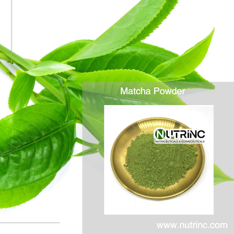 Tea Ceremony Grade Matcha Powder A,2A,3A,4A,5A,6A