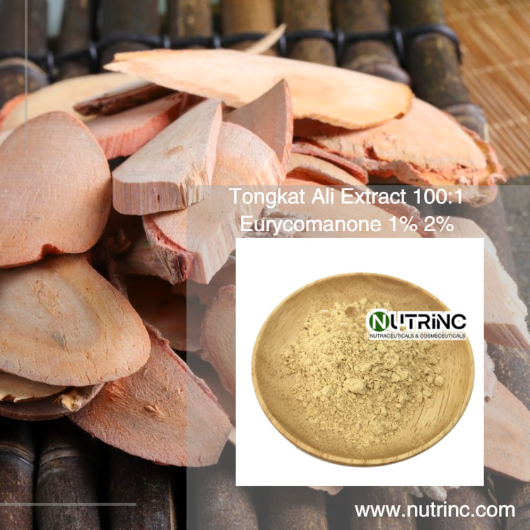 Tongkat Ali Extract 100:1 200:1 Eurycomanone 1% 2%