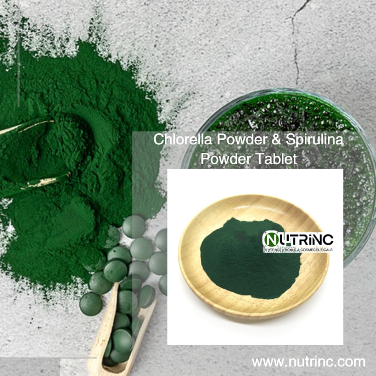 Chlorella Pyrenoidosa Powder Protein 50%