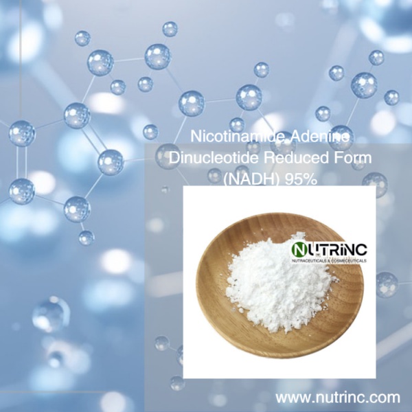 Nicotinamide Adenine Dinucleotide Reduced Form (NADH) 95%