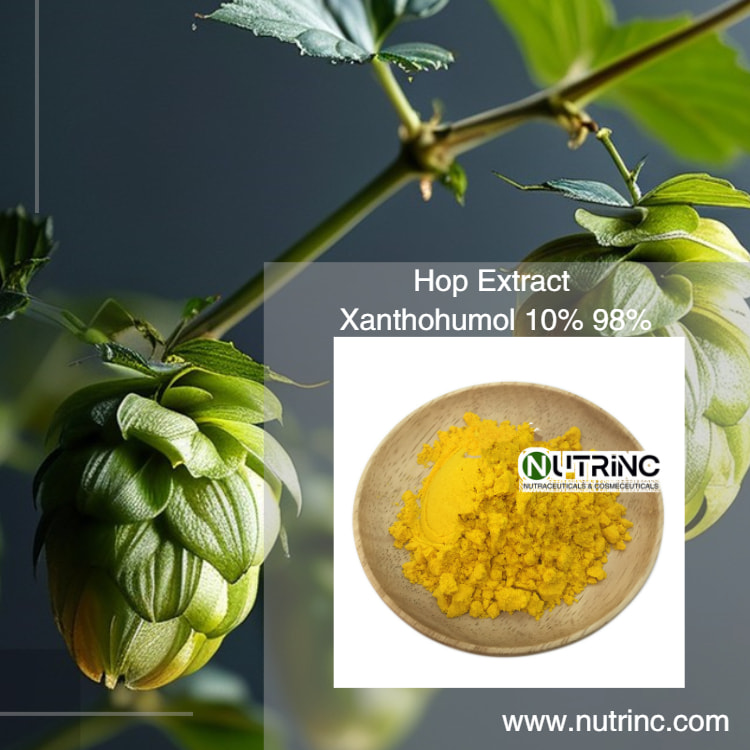  Hops Flower Extract Xanthohumol 10% 98%