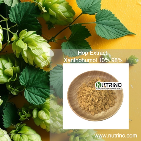  Hops Flower Extract Xanthohumol 10% 98%