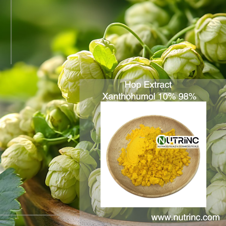  Hops Flower Extract Xanthohumol 10% 98%
