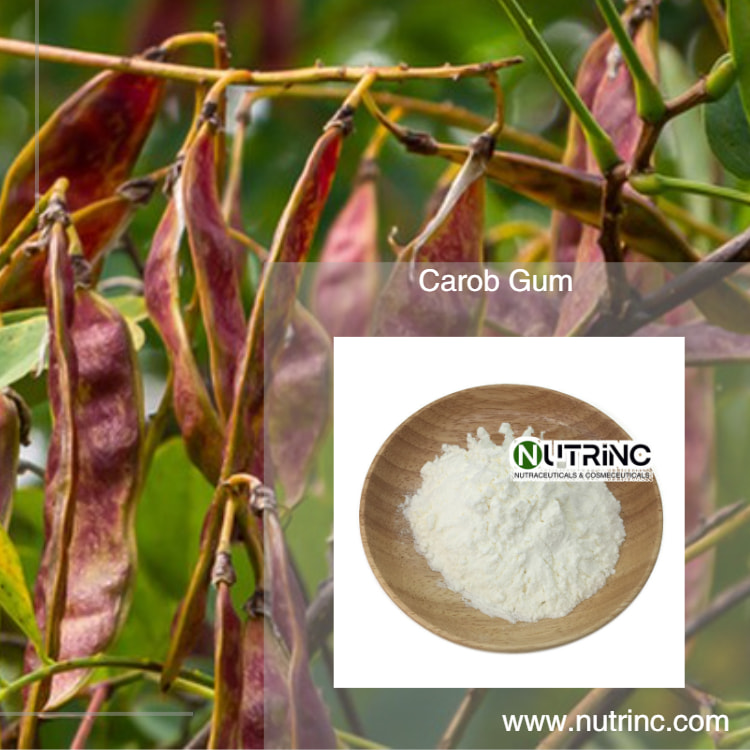 Carob Gum