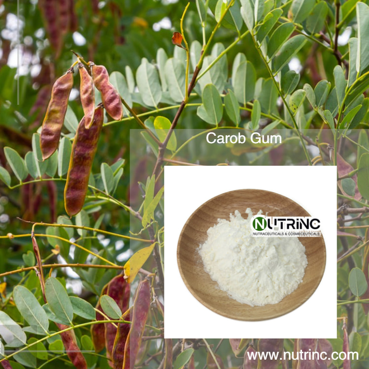 Carob Gum