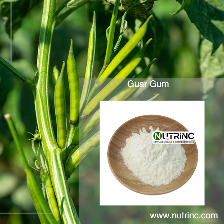 Guar Gum