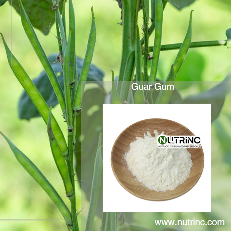 Guar Gum