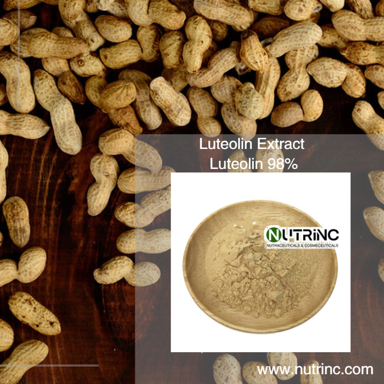Peanut Shell Extract Luteolin 98%