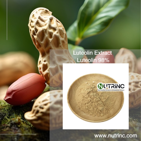 Peanut Shell Extract Luteolin 98%