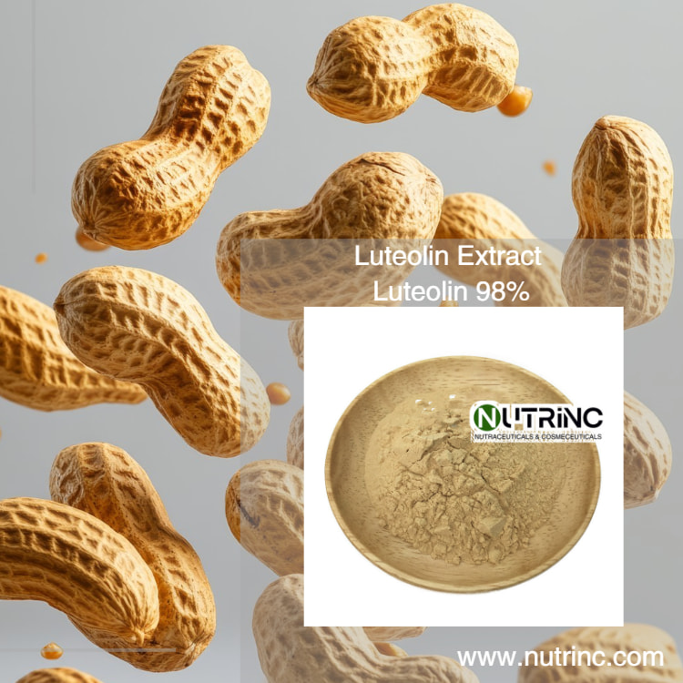 Peanut Shell Extract Luteolin 98%