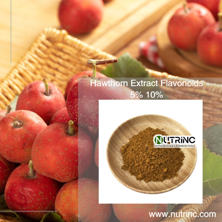 Hawthorn Extract Flavonoids 5% Vitexin 1%