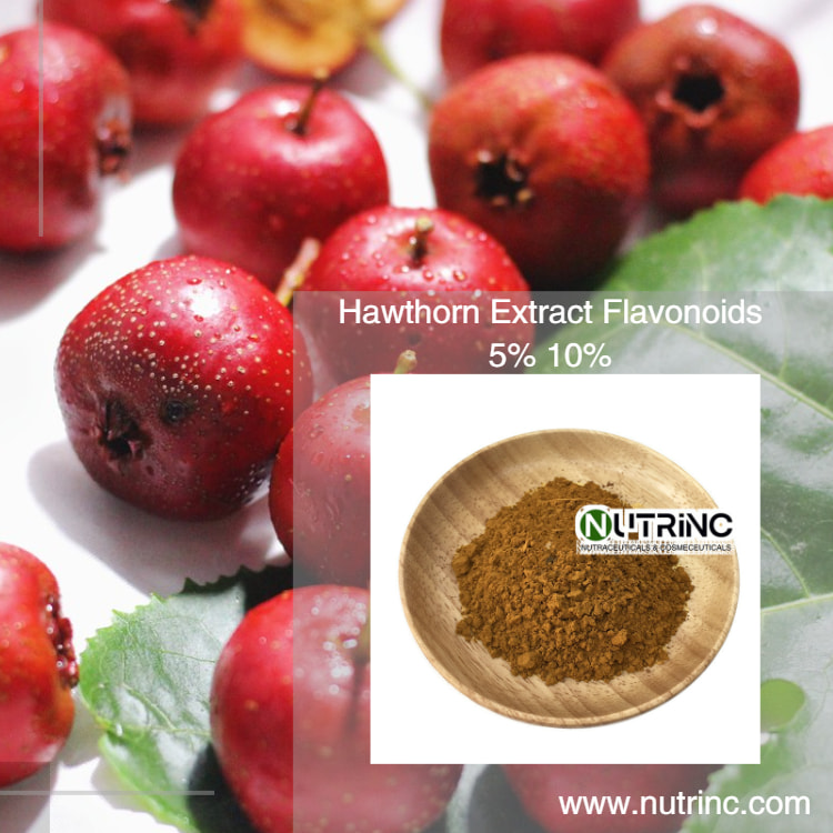 Hawthorn Extract Flavonoids 5% Vitexin 1%