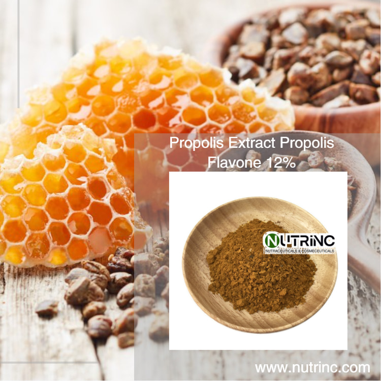 Propolis Extract Propolis Flavone 12%