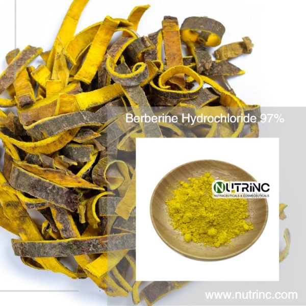Berberine Hydrochloride 97%