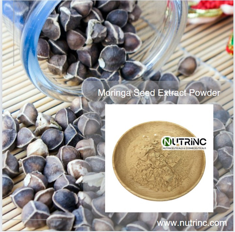 Moringa Seeds Extract Powder